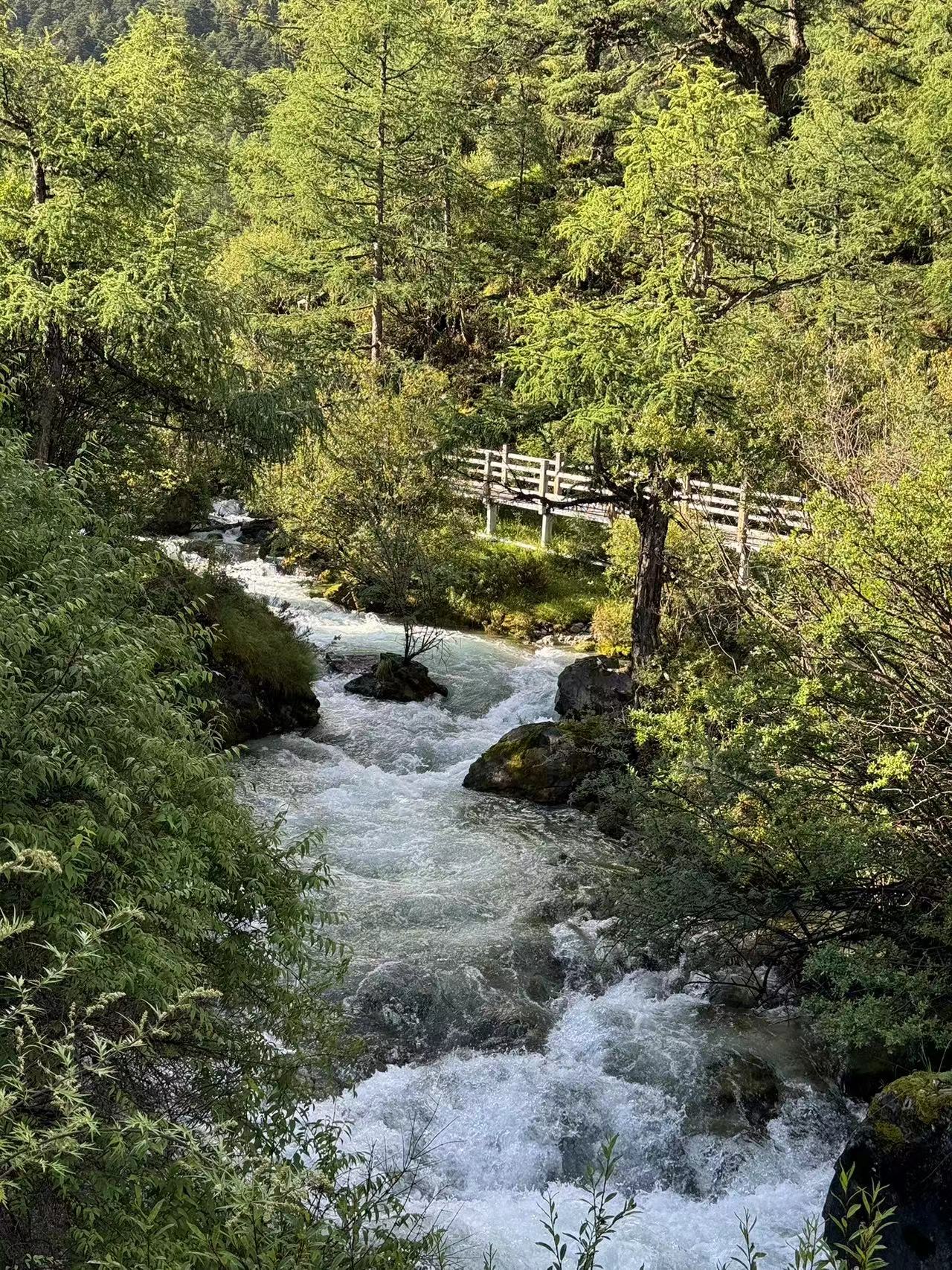 川西之旅